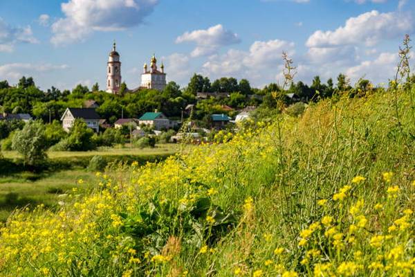 Необычным маршрутом по Боровску