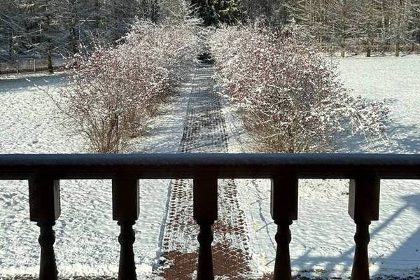 Из Костромы в усадьбу А.Н. Островского Щелыково (на авто гида)