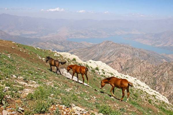 «Маршрут четырёх стихий»: высоты Чимгана и глубины Чарвака на электромобиле