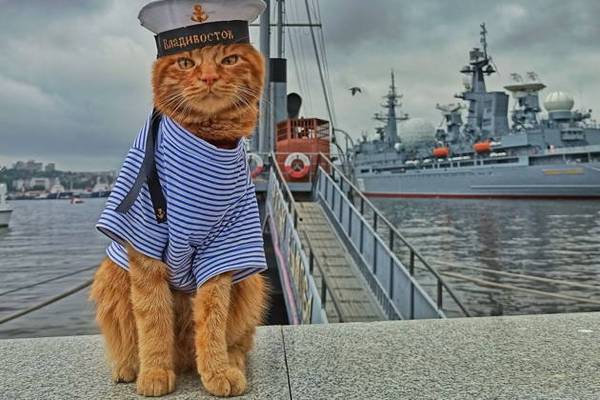 «По страницам истории»: обзорная по Владивостоку с подъемом на фуникулере