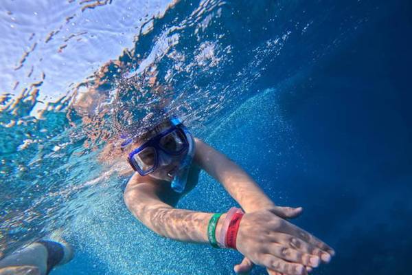 Снорклинг с личным гидом с лучшего пляжа Шарм-Эль-Шейха