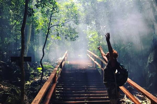 Путешествие по джунглям в поисках 