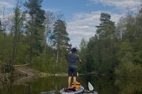 Прогулка на сапах по реке Сестра в Сестрорецке