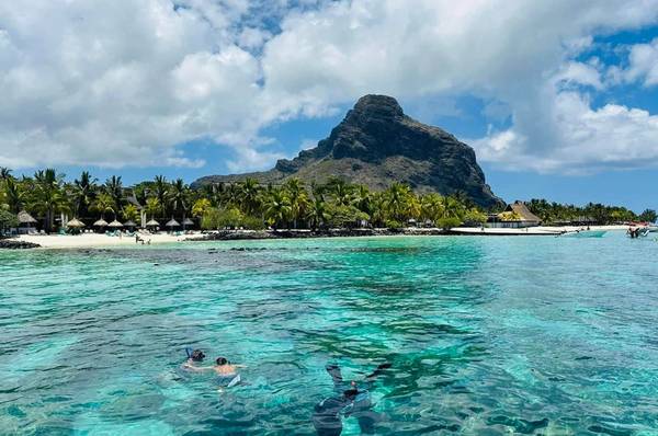 Маврикийская песнь кита: круиз к кашалотам