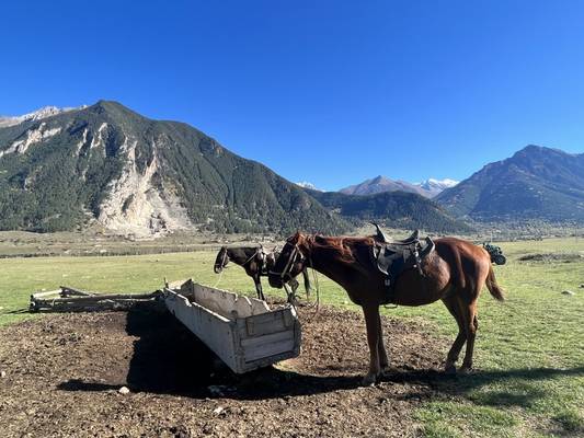 Домбай: прогулка на лошадях среди живописных гор