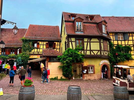 По очаровательному Эльзасу (из Страсбурга)