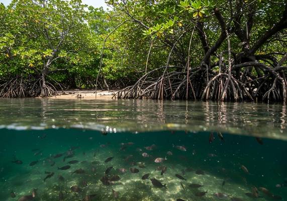 Авторское путешествие в нацпарк Рамсарских водных угодий
