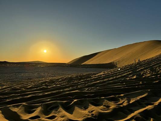 Сафари из Дохи — к Хор-аль-Адаид