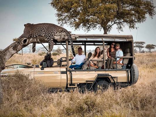 Сафари в национальном парке Руаха в Танзании — из Занзибара