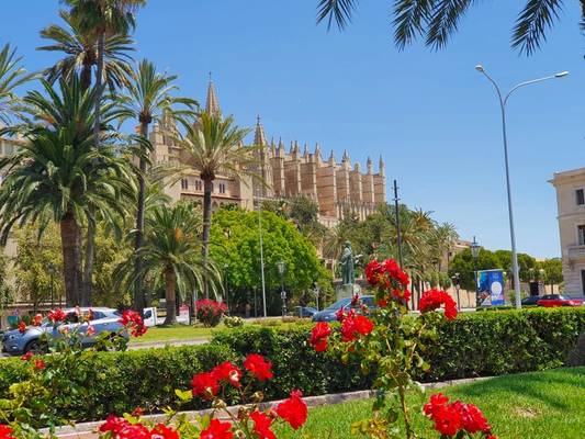 Пальма-де-Майорка + Вальдемосса: две жемчужины острова