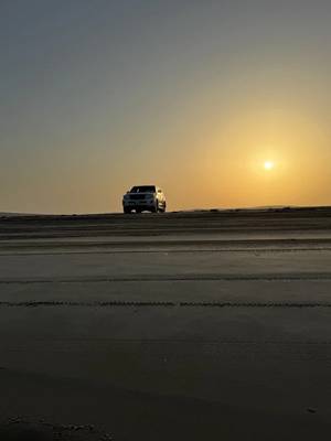 Сафари в пустыне Катара (всё включено)