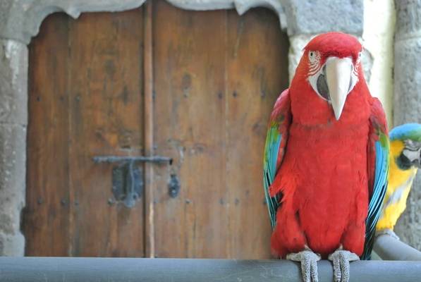 Гран-Канария — сокровище Атлантики