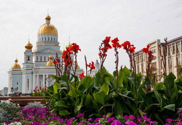 Шумбрат, Саранск!