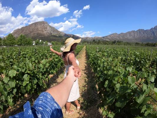 Окрестности Кейптауна без клише: Ланга, Кирстенбош и любимое вино Наполеона