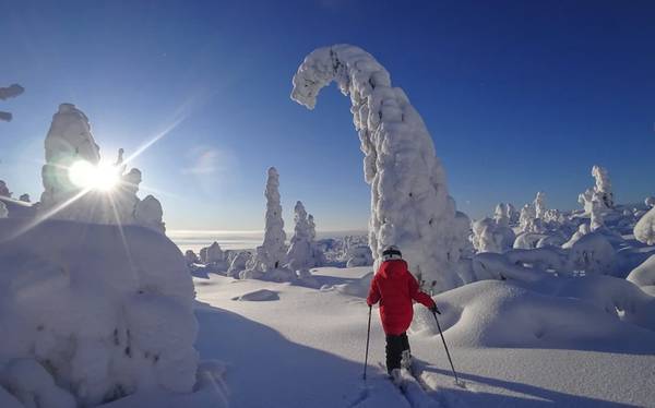 Зимняя сказка на один день: покорить сопку Волосяную в Кандалакше
