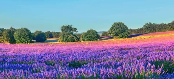 Богема, ароматы и гастрономия Лазурного берега