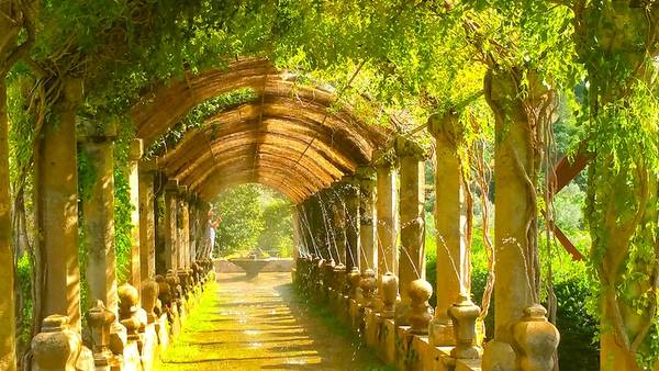 Сады Альфабия, «апельсиновый» трамвайчик и старинная обитель