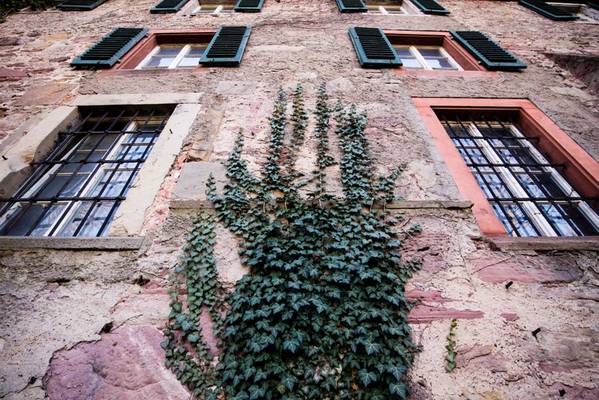 Мистический Баден-Баден