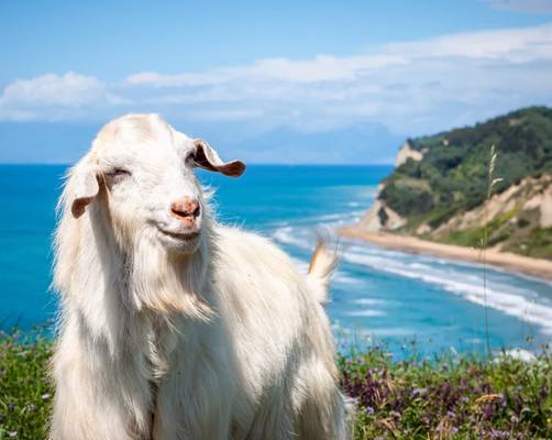 Дикий запад Корфу