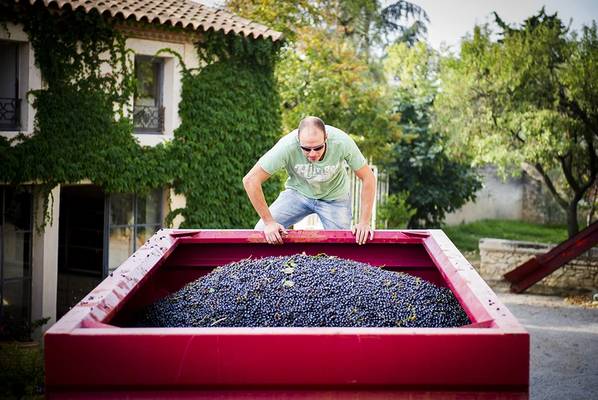 Из Монпелье — на живописную французскую винодельню!