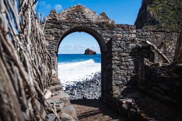 Дикая Мадейра: держим курс на север!