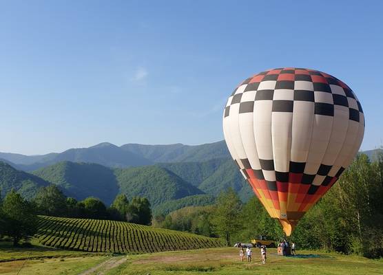 Удивительный Дагомыс