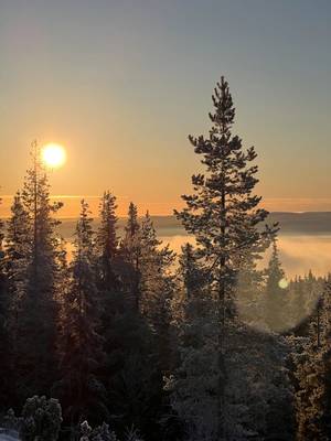 Белое море, Колвицкие водопады и древнее место силы (из Апатитов)