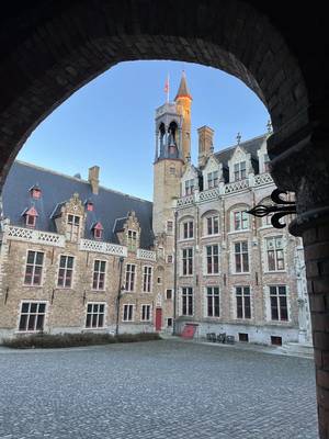 Увидеть Брюгге, не залегая на дно