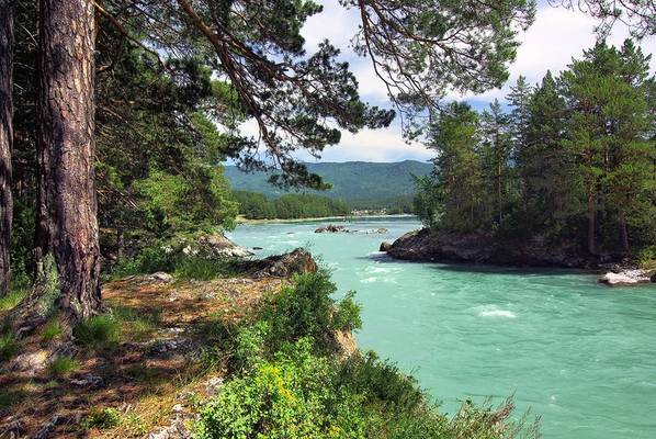 Путешествие в Чемал по долине реки Катунь