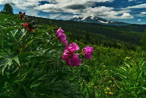 Треккинг к озёрам Красной горы