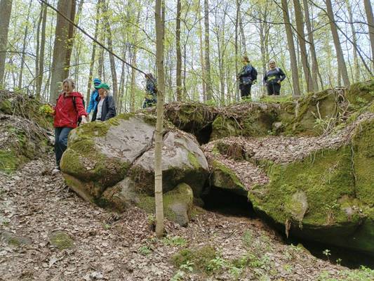 Томилинский лесопарк: подмосковная Карелия в Лыткарино