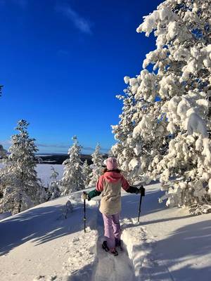 В Хибины на снегоступах — из Кировска