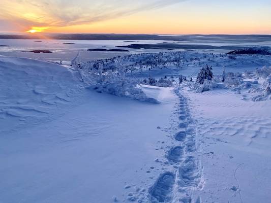 Арктическая экзотика: на снегоступах — по беломорской тундре