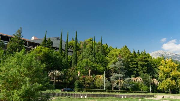 Экскурсия на виллу Иосипа Броз Тито