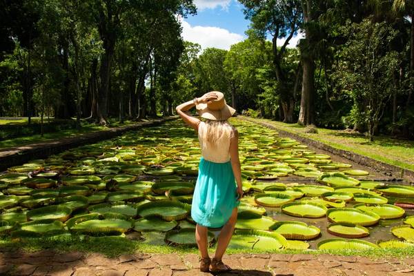 Северный Маврикий и столица острова Порт-Луи