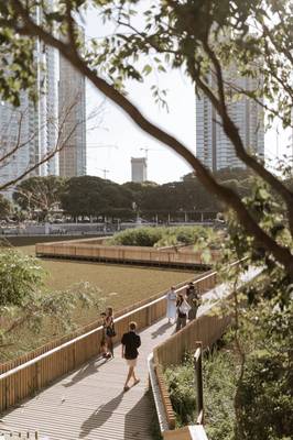 Бёрдвотчинг в Буэнос-Айресе