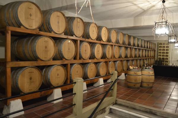 Винодельни Байррады. Дегустационная экскурсия