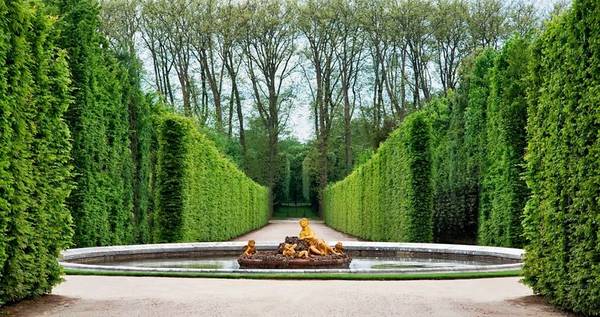 Драгоценные сады Версаля: аудиопрогулка (билеты не включены)