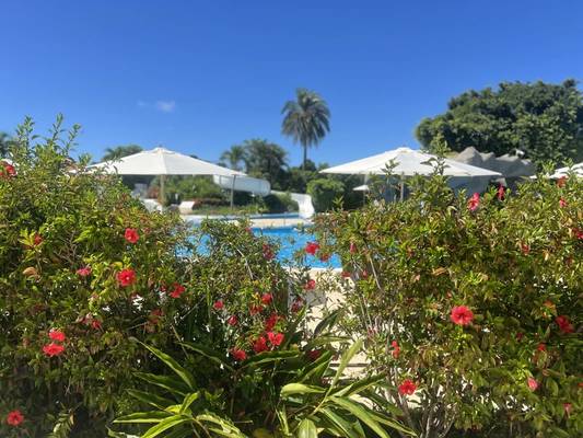 Главное на острове Исигаки