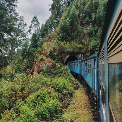 Горный курорт Элла и слоновий питомник Удавалаве