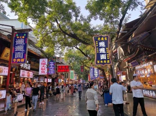 Мусульманский квартал + городская стена Сианя