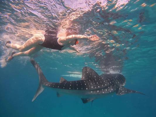 Удивительный остров Себу: китовые акулы и чудотворная Симала