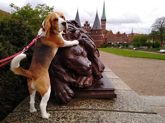 Прогулка по Любеку в весёлой компании