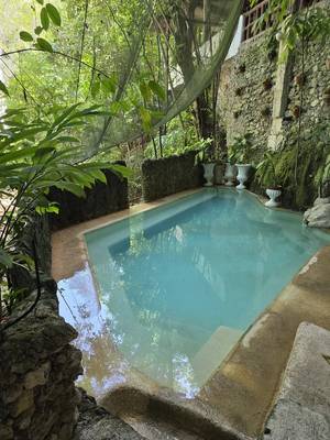 Север острова Себу: сафари-парк и горячие источники