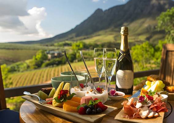 Из Кейптауна — к винам, альпакам и пейзажам