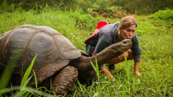 Вулканы, общины индейцев и экзотические животные: Эквадор и Галапагосские острова индивидуально