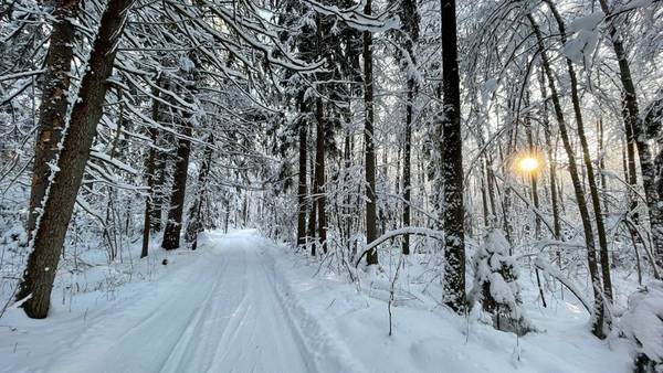 Из Дивеево — в Курихинский Знаменский женский монастырь