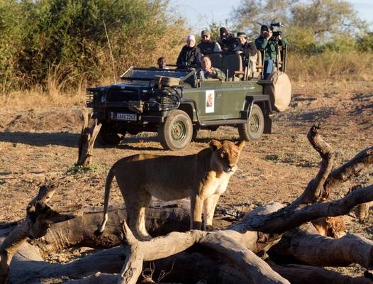 Дикая природа ЮАР с телеведущим-биологом: VIP-сафари по суше и воде с проживанием в роскошных отелях