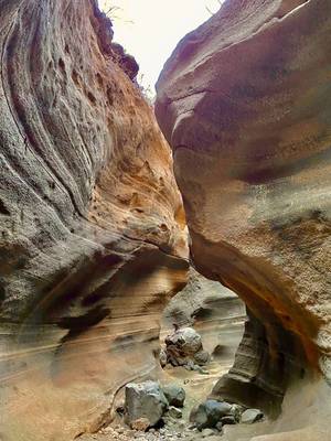 По следам аборигенов Гран-Канарии