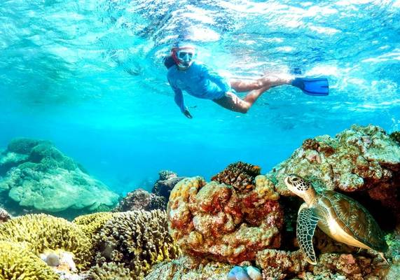 Снорклинг с черепахами возле острова Мнемба